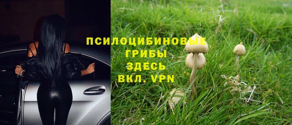 стафф Балахна