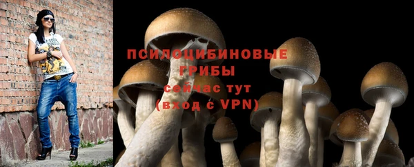 стафф Балахна