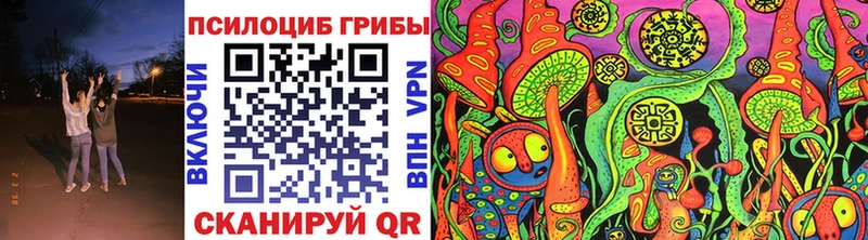 Псилоцибиновые грибы Psilocybine cubensis  Новоаннинский 